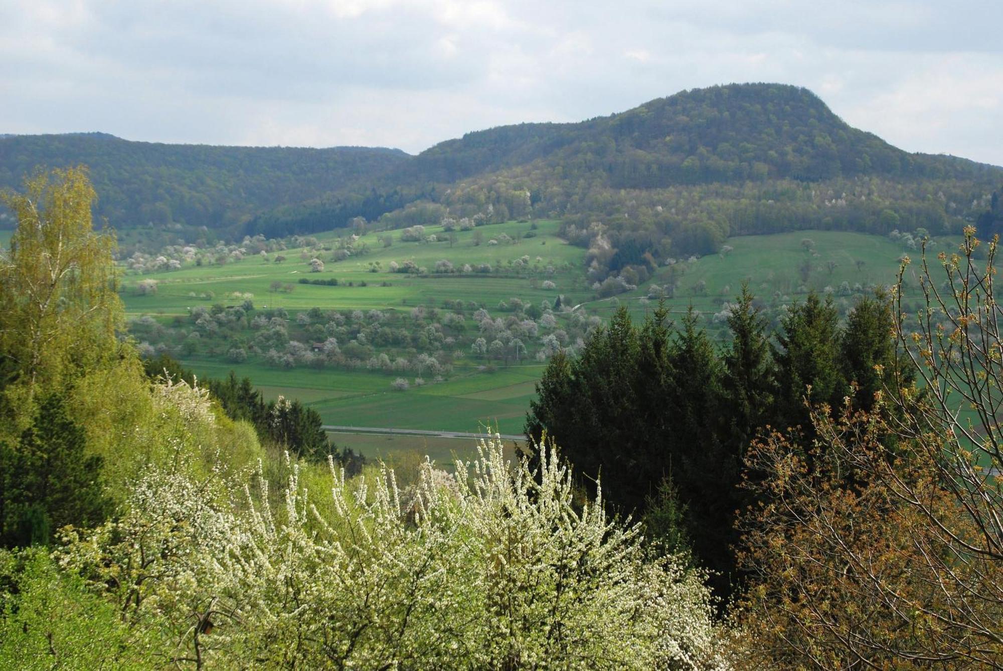 Ferienwohnungen beim Imker Mössingen Exterior foto